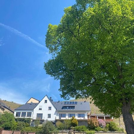 Chateau-De-La-Moselle Kinheim Bagian luar foto
