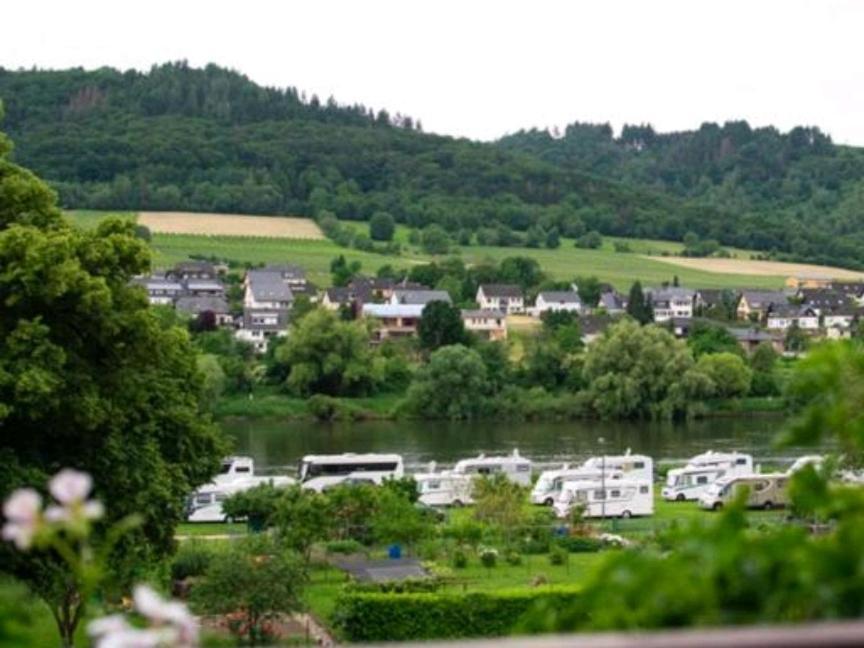 Chateau-De-La-Moselle Kinheim Bagian luar foto