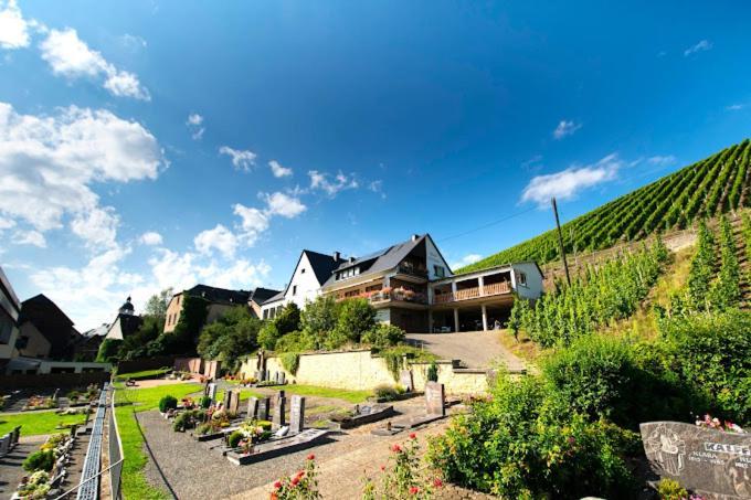Chateau-De-La-Moselle Kinheim Bagian luar foto