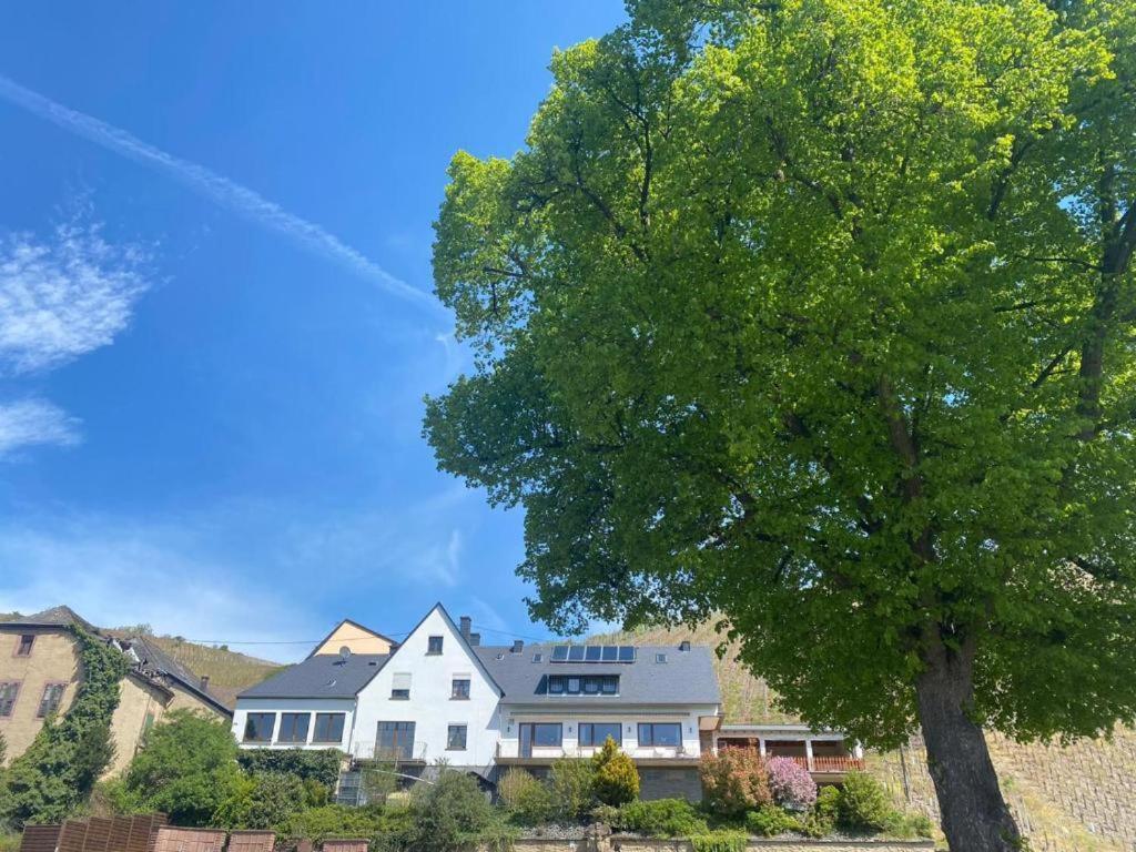 Chateau-De-La-Moselle Kinheim Bagian luar foto